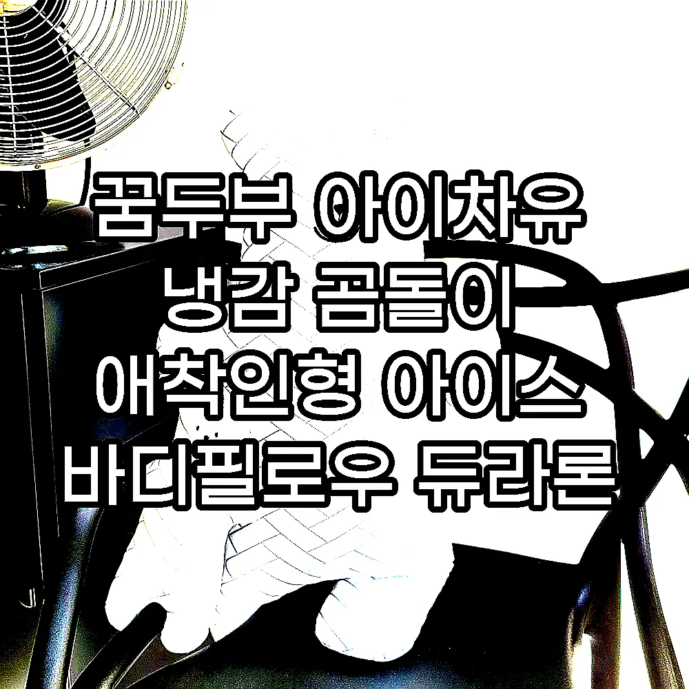 꿈두부 아이차유 냉감 곰돌이 애착인형 아이스 바디필로우 듀라론 신소재원단 이미지 1