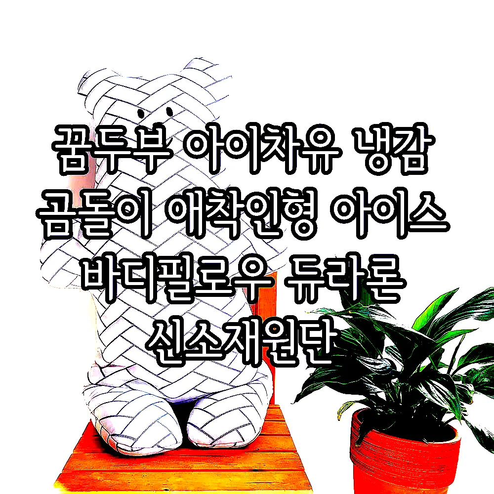 꿈두부 아이차유 냉감 곰돌이 애착인형 아이스 바디필로우 듀라론 신소재원단 이미지 2