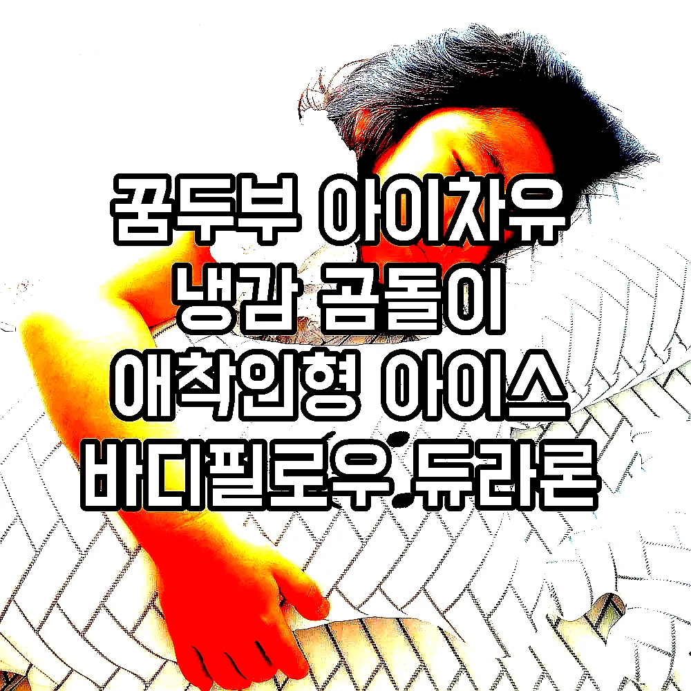 꿈두부 아이차유 냉감 곰돌이 애착인형 아이스 바디필로우 듀라론 신소재원단 이미지 5