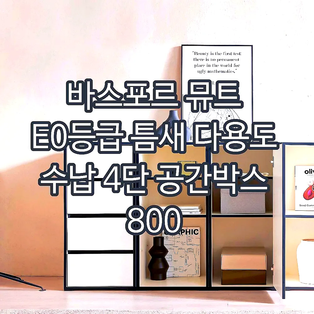 바스포르 뮤트 E0등급 틈새 다용도 수납 4단 공간박스 800 이미지 2 바스포르 뮤트 E0등급 틈새 다용도 수납 4단 공간박스 800 이미지 2