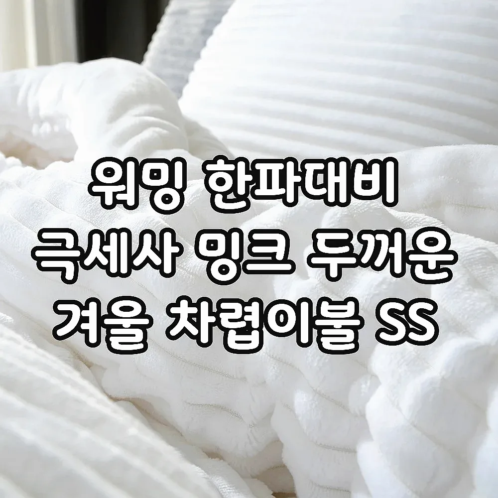 워밍 한파대비 극세사 밍크 두꺼운 겨울 차렵이불 SS 이미지 2 워밍 한파대비 극세사 밍크 두꺼운 겨울 차렵이불 SS 이미지 2