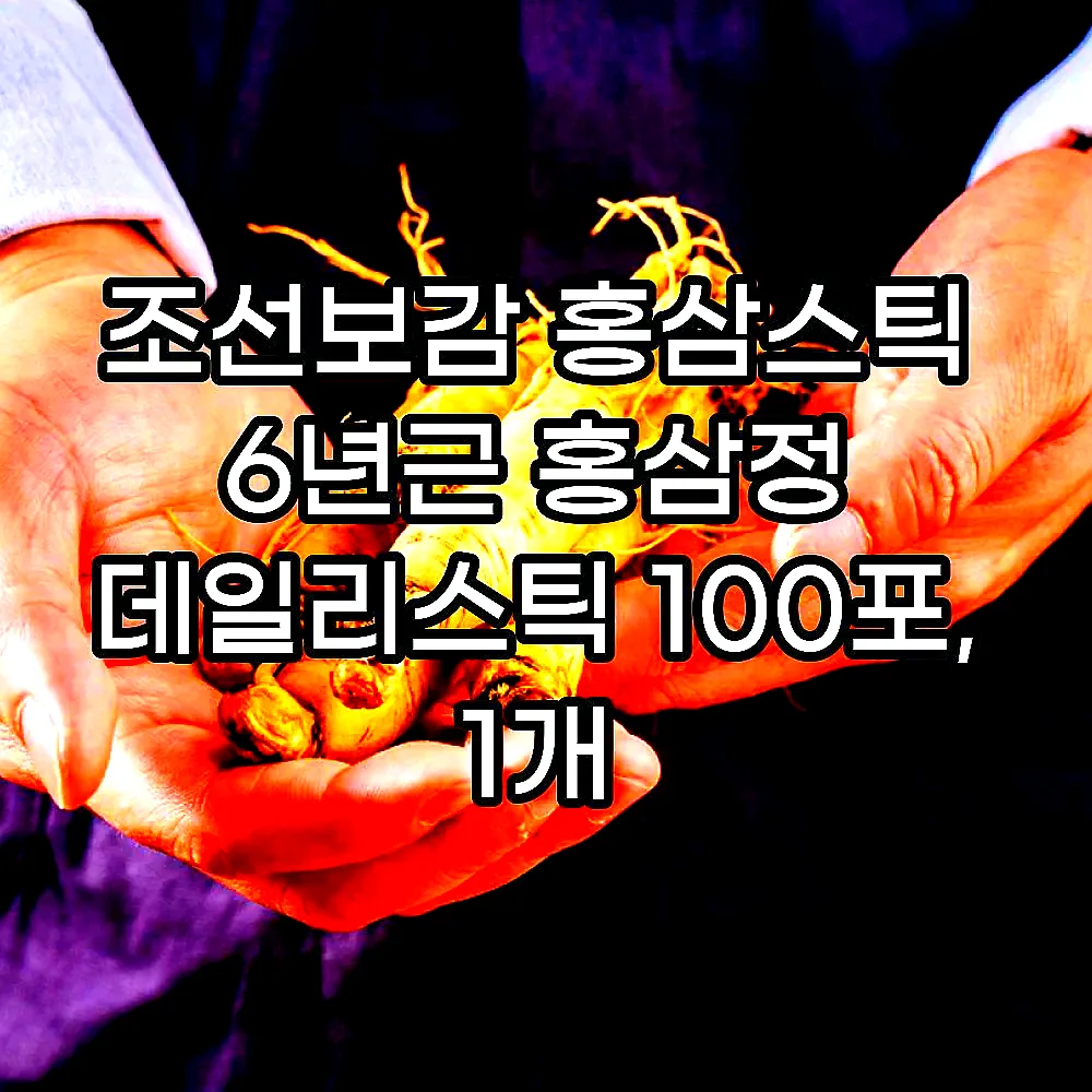 조선보감 홍삼스틱 6년근 홍삼정 데일리스틱 100포, 1개 이미지 3