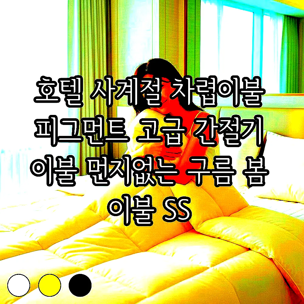 호텔 사계절 차렵이불 피그먼트 고급 간절기 이불 먼지없는 구름 봄 이불 SS 이미지 1