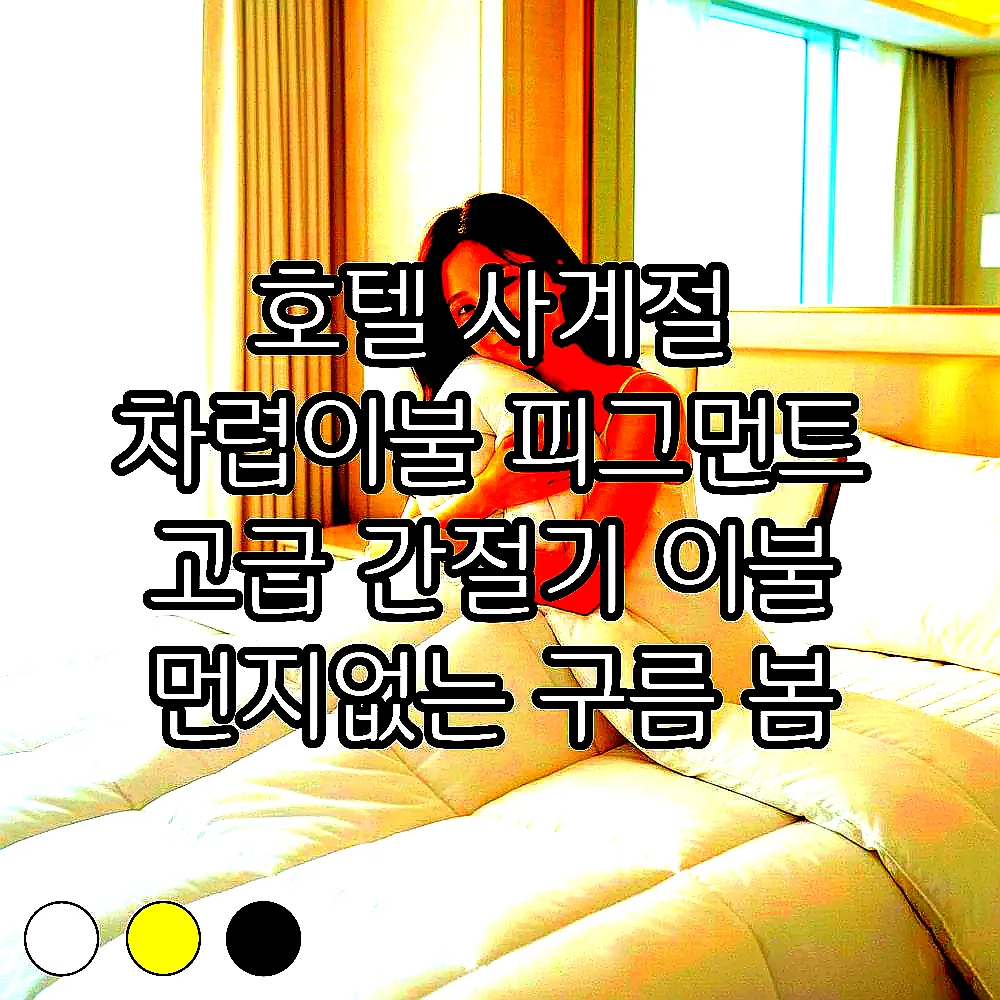 호텔 사계절 차렵이불 피그먼트 고급 간절기 이불 먼지없는 구름 봄 이불 SS 이미지 2