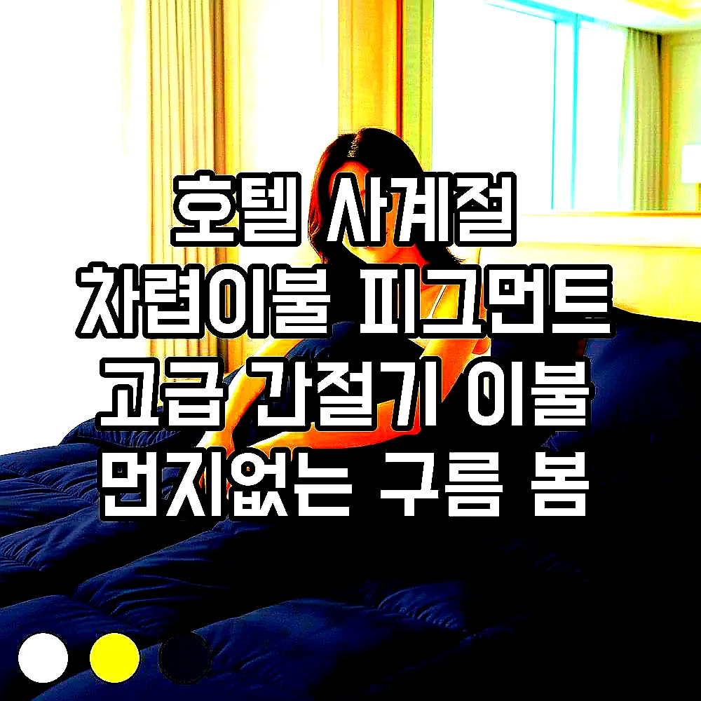 호텔 사계절 차렵이불 피그먼트 고급 간절기 이불 먼지없는 구름 봄 이불 SS 이미지 3